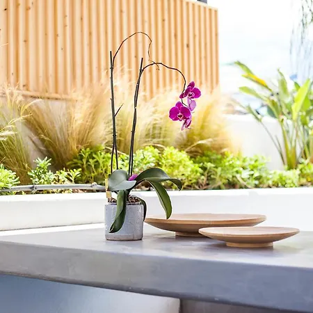 Len Art Selected Appartamento Faliraki